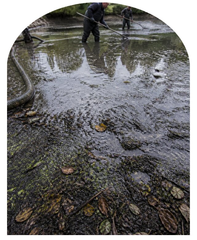 Очистка пруда в Саратове от ила мусора и водорослей с вывозом
